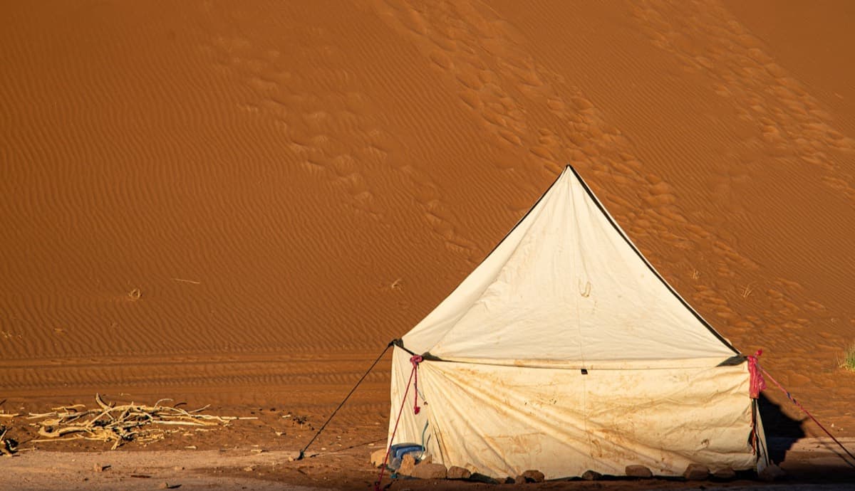 Inline article image for Genesis 11-20 Recap: Babel, Abraham, Covenant, and Sodom