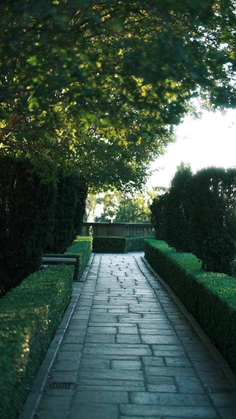 Inline article image for Genesis 2: Breath, Garden, and Calling