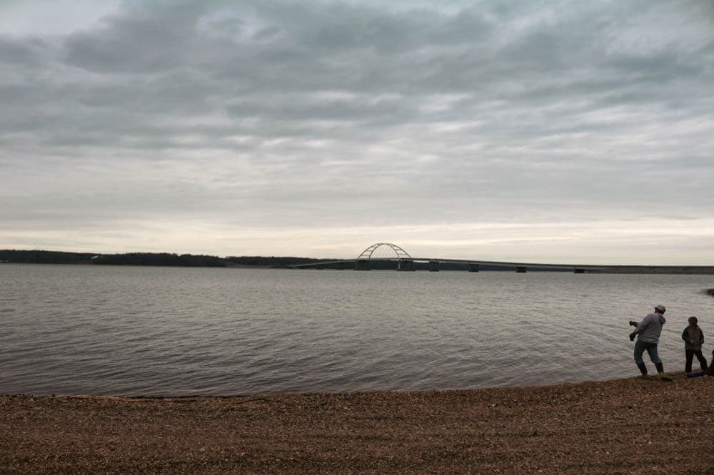 Inline article image for Numbers 22: Balaam’s Path and the Talking Donkey